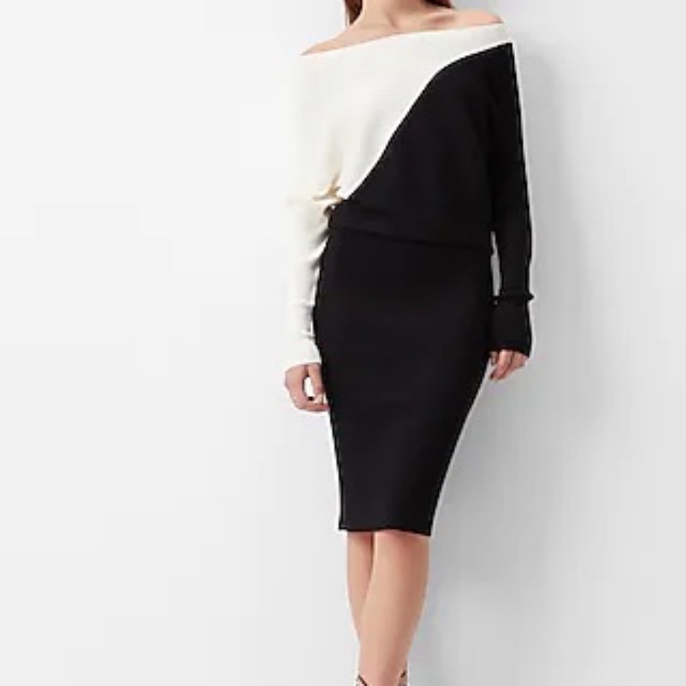 NWT Express Color Block Sweater Dress